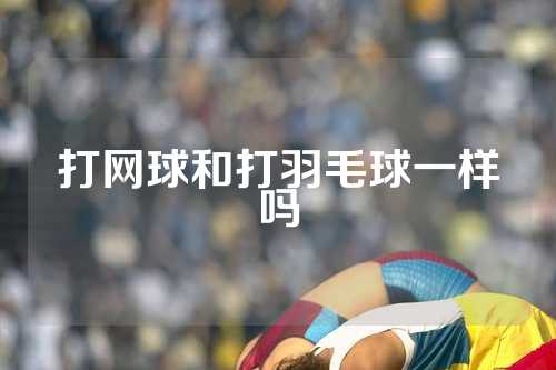 打网球和打羽毛球一样吗