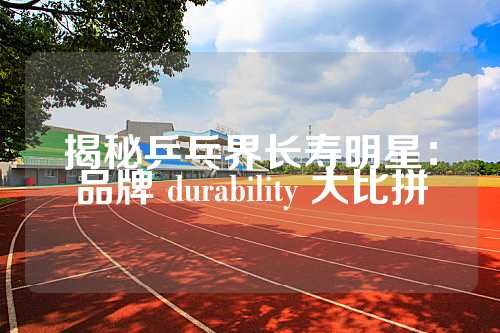 揭秘乒乓界长寿明星：品牌 durability 大比拼