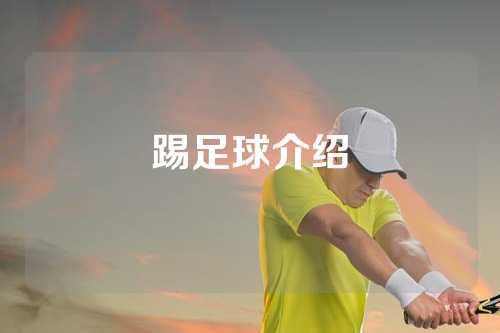 踢足球介绍