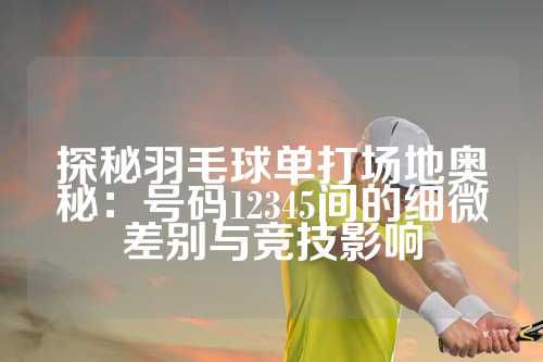 探秘羽毛球单打场地奥秘：号码12345间的细微差别与竞技影响