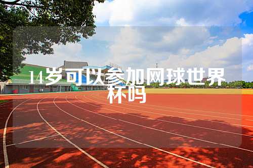 14岁可以参加网球世界杯吗