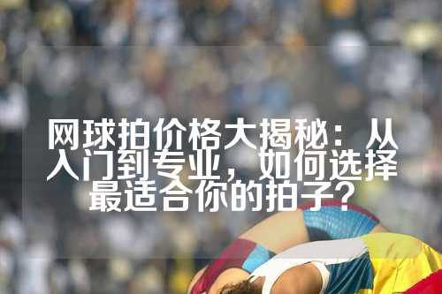 网球拍价格大揭秘：从入门到专业，如何选择最适合你的拍子？