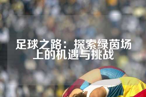 足球之路：探索绿茵场上的机遇与挑战