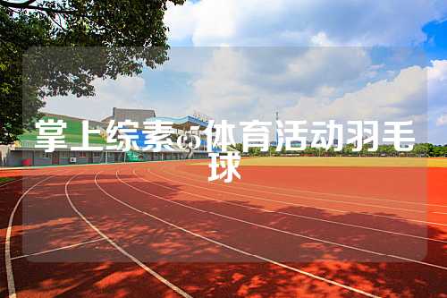 掌上综素c5体育活动羽毛球