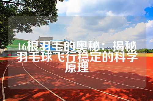 16根羽毛的奥秘：揭秘羽毛球飞行稳定的科学原理