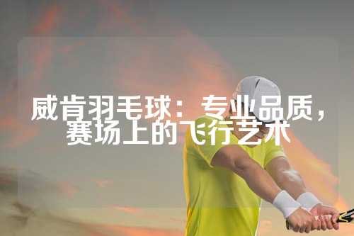 威肯羽毛球：专业品质，赛场上的飞行艺术