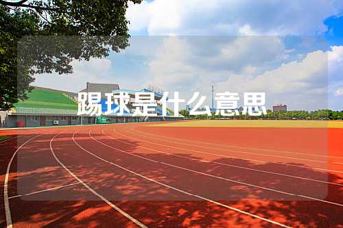 踢球是什么意思