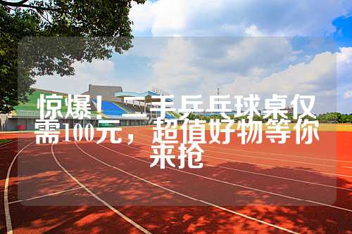 惊爆！二手乒乓球桌仅需100元，超值好物等你来抢