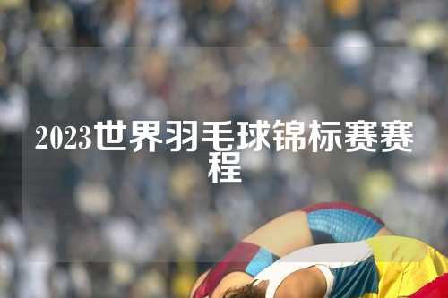 2023世界羽毛球锦标赛赛程